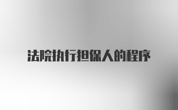 法院执行担保人的程序