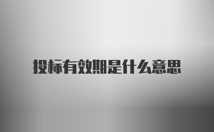 投标有效期是什么意思