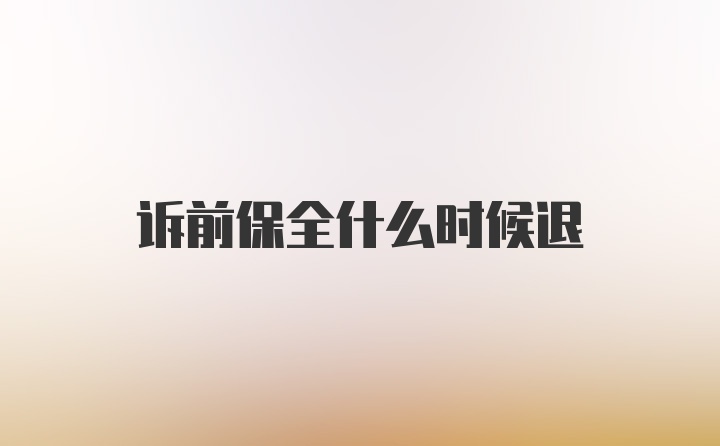 诉前保全什么时候退