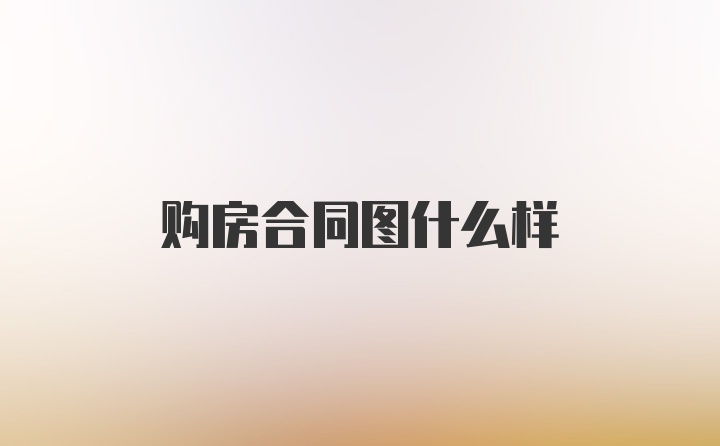 购房合同图什么样