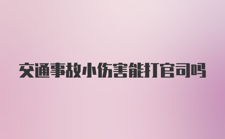 交通事故小伤害能打官司吗