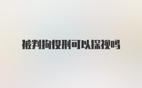 被判拘役刑可以探视吗