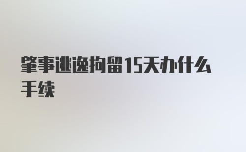 肇事逃逸拘留15天办什么手续