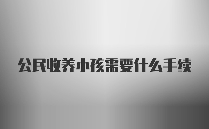 公民收养小孩需要什么手续