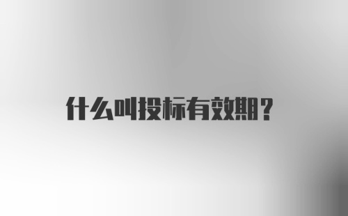 什么叫投标有效期？