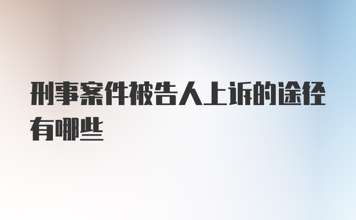 刑事案件被告人上诉的途径有哪些