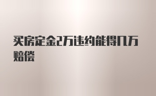 买房定金2万违约能得几万赔偿