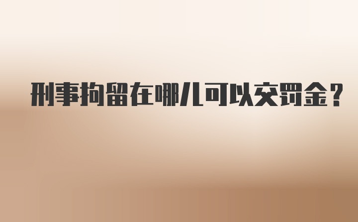 刑事拘留在哪儿可以交罚金？