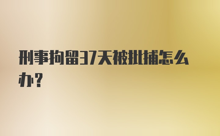 刑事拘留37天被批捕怎么办？