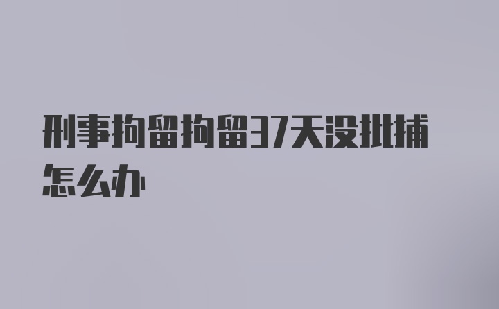 刑事拘留拘留37天没批捕怎么办