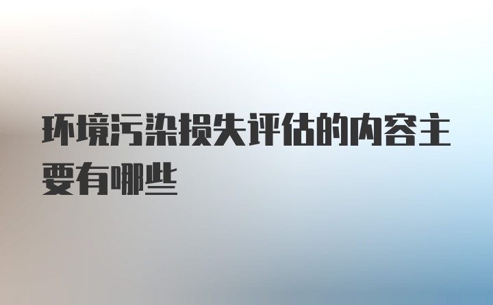 环境污染损失评估的内容主要有哪些