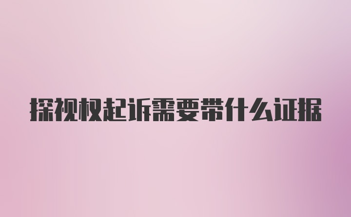 探视权起诉需要带什么证据