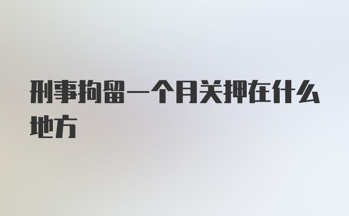 刑事拘留一个月关押在什么地方