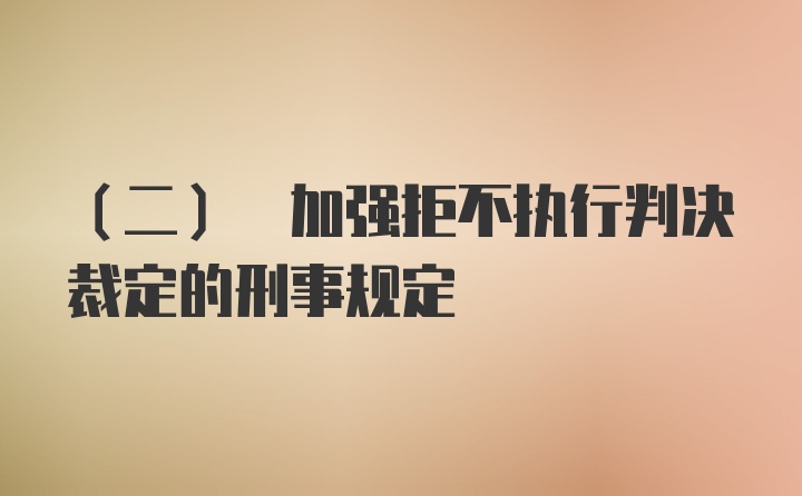 (二) 加强拒不执行判决裁定的刑事规定