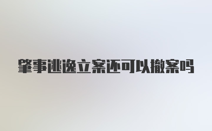 肇事逃逸立案还可以撤案吗