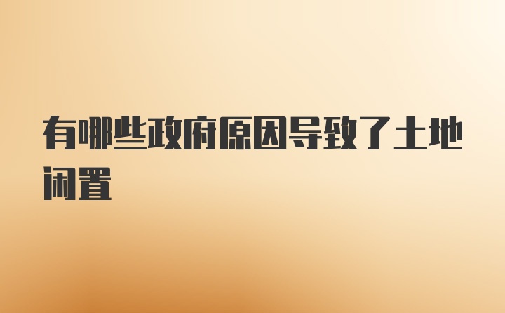 有哪些政府原因导致了土地闲置