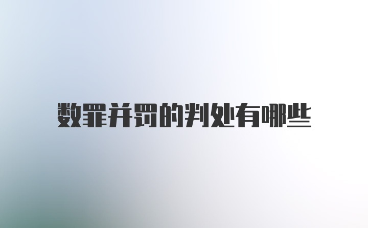 数罪并罚的判处有哪些