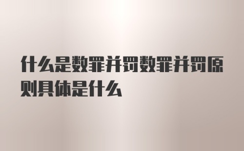 什么是数罪并罚数罪并罚原则具体是什么