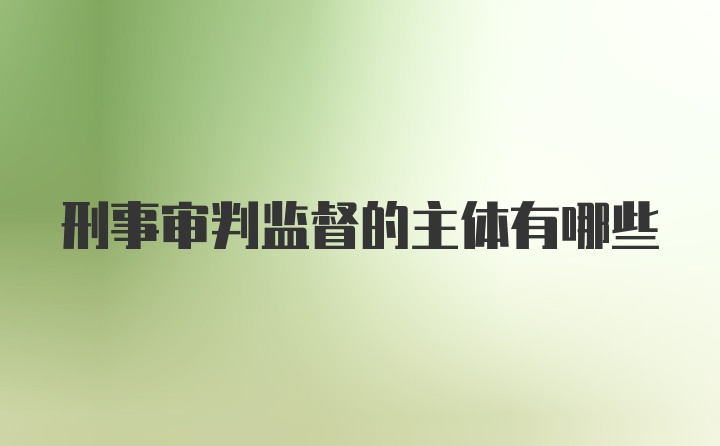 刑事审判监督的主体有哪些