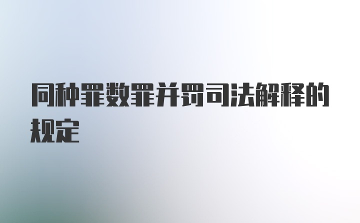 同种罪数罪并罚司法解释的规定