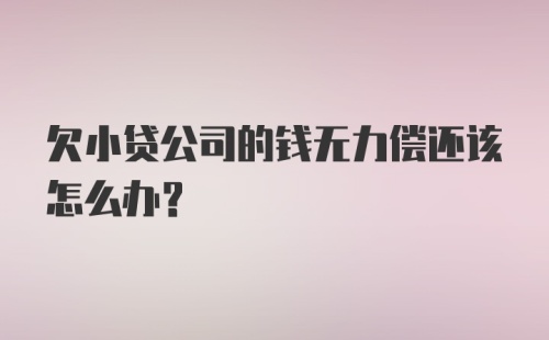 欠小贷公司的钱无力偿还该怎么办？