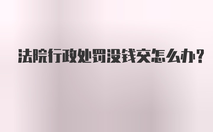 法院行政处罚没钱交怎么办？