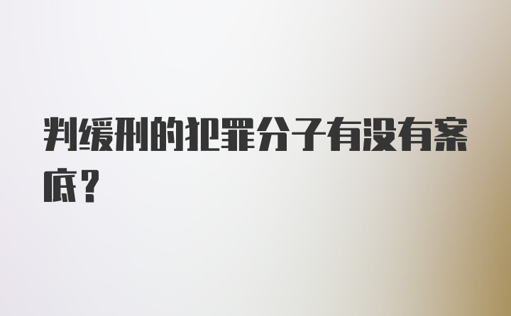 判缓刑的犯罪分子有没有案底？