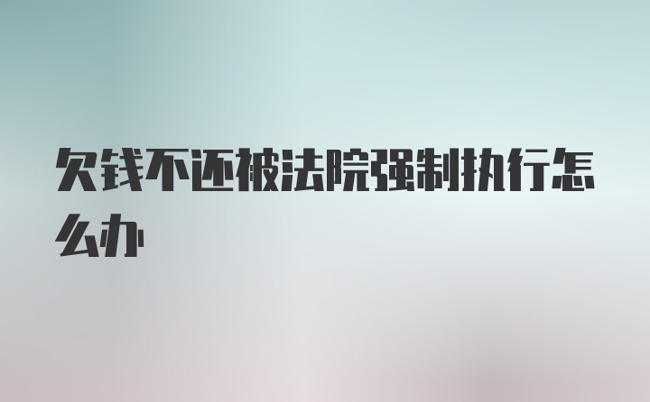 欠钱不还被法院强制执行怎么办