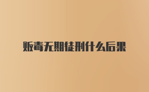 贩毒无期徒刑什么后果