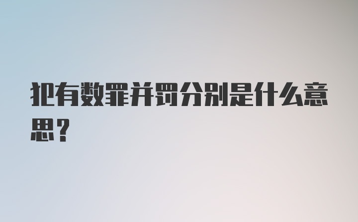 犯有数罪并罚分别是什么意思？