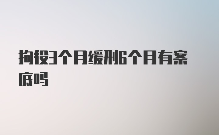 拘役3个月缓刑6个月有案底吗