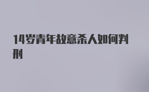 14岁青年故意杀人如何判刑