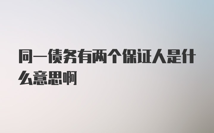 同一债务有两个保证人是什么意思啊