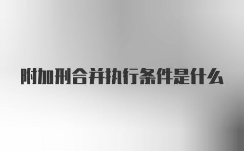 附加刑合并执行条件是什么