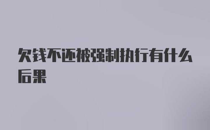 欠钱不还被强制执行有什么后果