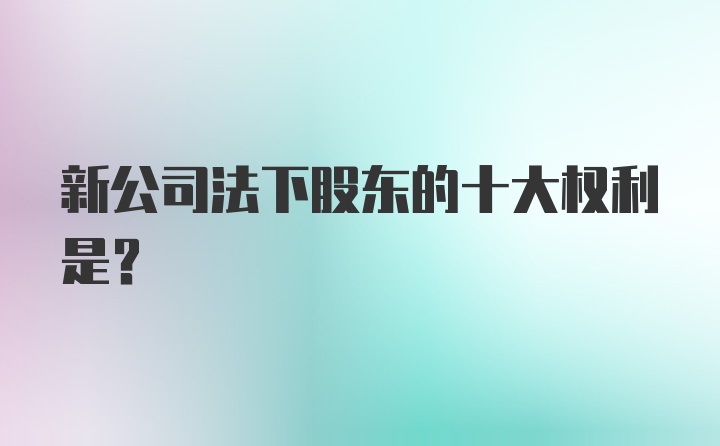 新公司法下股东的十大权利是？