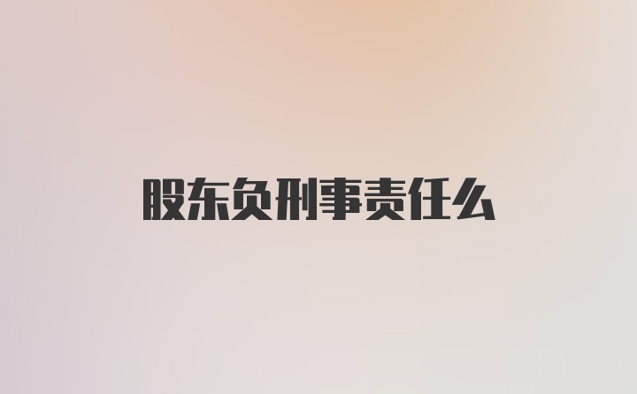 股东负刑事责任么