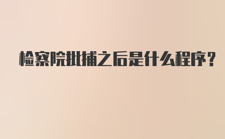 检察院批捕之后是什么程序？