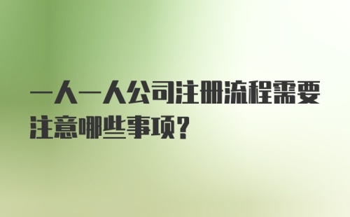 一人一人公司注册流程需要注意哪些事项？