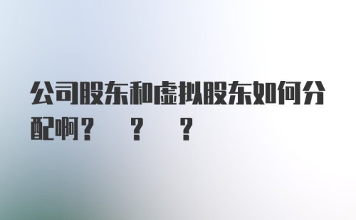 公司股东和虚拟股东如何分配啊? ? ?