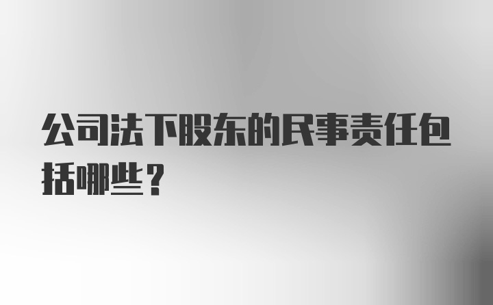 公司法下股东的民事责任包括哪些？