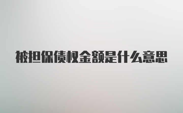 被担保债权金额是什么意思