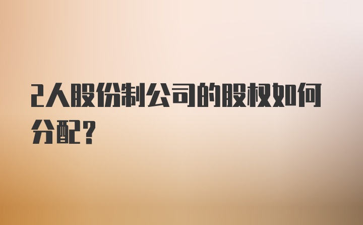 2人股份制公司的股权如何分配？