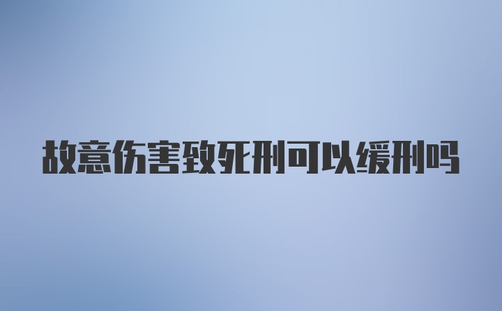 故意伤害致死刑可以缓刑吗