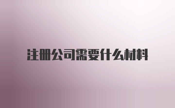 注册公司需要什么材料