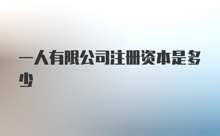 一人有限公司注册资本是多少