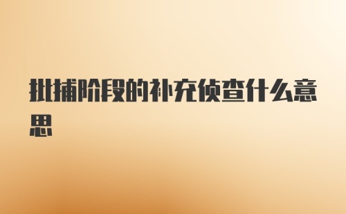 批捕阶段的补充侦查什么意思