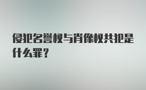 侵犯名誉权与肖像权共犯是什么罪？