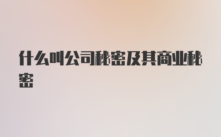 什么叫公司秘密及其商业秘密