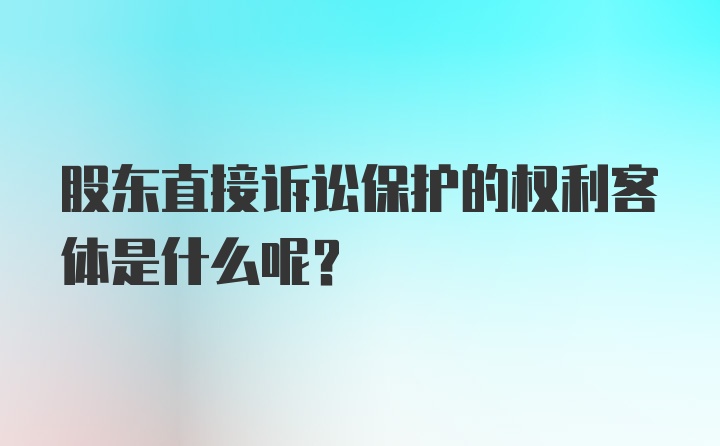 股东直接诉讼保护的权利客体是什么呢?